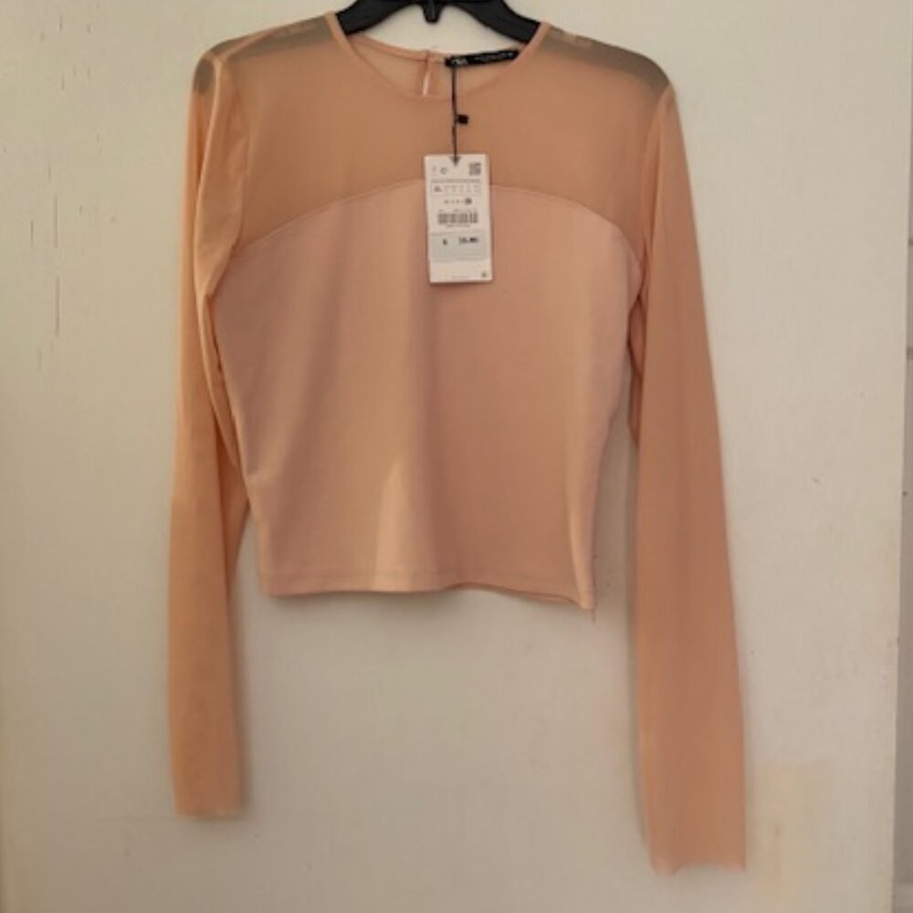 Zara Long Sleeve Pink Demi Mesh Top, $39, NWT